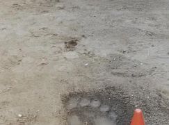Castle: 5x20 The Fast and the Furriest - zdjęcia z planu