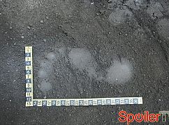 Castle: 5x20 The Fast and the Furriest - zdjęcia z planu