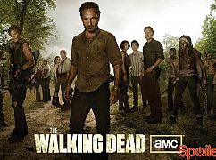 Zobacz plakaty promocyjne 3 sezonu Walking Dead