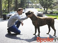 Podmiejski czyściec: 2x22 Stray Dogs - zdjęcia promocyjne