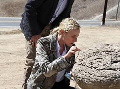 The Bridge: 1x02 Calaca - zdjęcia promocyjne