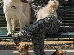 Wilfred: 3x04 Sincerity - zdjęcia promocyjne