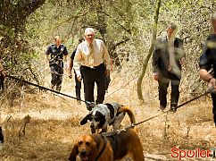 Major Crimes: 2x06 Boys Will Be Boys - zdjęcia promocyjne