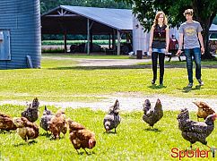 Under the Dome: 1x09 The Forth Hand - zdjęcia promocyjne