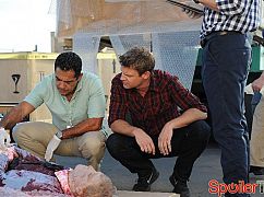 The Glades: 4x10 Gallerinas - zdjęcia promocyjne