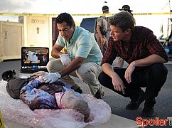 The Glades: 4x10 Gallerinas - zdjęcia promocyjne