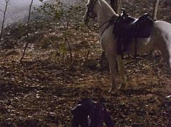 Sleepy Hollow: 1x01 Pilot - zdjęcia promocyjne