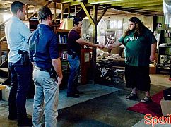 Hawaii 5.0: 4x03 Ka ‘oia’i’o ma loko - zdjęcia promocyjne