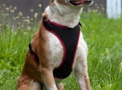 Prawo Agaty: 4x04 - zdjęcia promocyjne