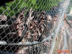 Żywe trupy: 4x02 Infected - zdjęcia promocyjne