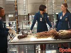 Kości: 9x06 The Woman in White - zdjęcia promocyjne