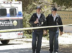 Agenci NCIS: 11x05 Once A Crook - zdjęcia promocyjne