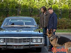 Nie z tego świata: 9x05 Dog Dean Afternoon - zdjęcia promocyjne