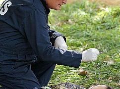 Agenci NCIS: 1x08 Alibi - zdjęcia promocyjne