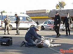 Agenci NCIS: 11x09 Gut Check - zdjęcia promocyjne