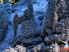 Doctor Who: 8x00 The Time of the Doctor - zdjęcia promocyjne