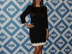 FOX Winter 2014 TCA