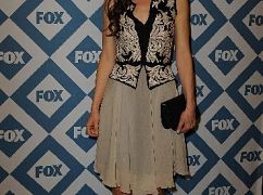 FOX Winter 2014 TCA
