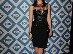 FOX Winter 2014 TCA