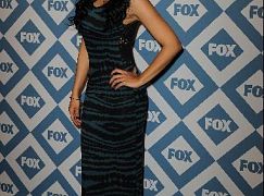 FOX Winter 2014 TCA