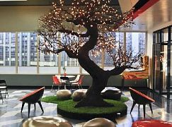 CBS & CW Winter TCA 2014