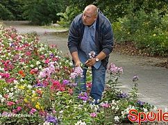 Barwy szczęścia odc. 1049 - zdjęcia promocyjne