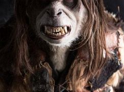 Grimm: 3x13 Revelation - zdjęcia promocyjne