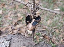 Żywe trupy: 4x14 The Grove - zdjęcia promocyjne