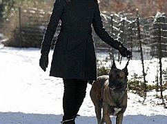 Person of Interest: 3x18 Allegiance - zdjęcia promocyjne