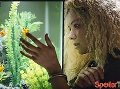 Orphan Black: 2x05 IPSA Scientia Potestas - zdjęcia promocyjne