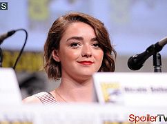 Comic-Con 2014: Panel Women Who Kick Ass