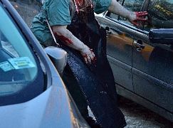 Wirus: 1x06 Occultation - zdjęcia promocyjne