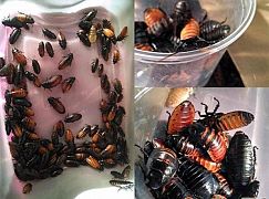 Zdjęcia zza kulis 10 sezonu serialu Zabójcze umysły