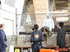 Kości: 10x03 The Purging of the Pundit - zdjęcia promocyjne