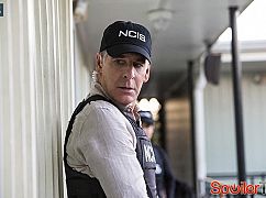 NCIS: New Orleans: 1x08 Love Hurts - zdjęcia promocyjne
