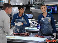 Kości: 10x09 The Mutilation of the Master Manipulator - zdjęcia promocyjne