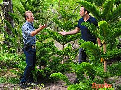 Hawaii 5.0: 5x09 Ke Koho Mamao Aku - zdjęcia promocyjne