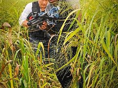 Hawaii 5.0: 5x13 Lā Pōʻino - zdjęcia promocyjne
