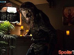 Grimm: 4x12 Maréchaussée - zdjęcia promocyjne