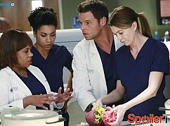 Chirurdzy: 11x10 The Bed's Too Big Without You - zdjęcia promocyjne