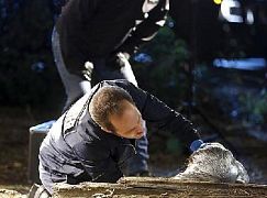 CSI: Kryminalne zagadki Las Vegas: 15x16 The Last Ride - zdjęcia promocyjne
