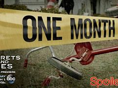 Plakaty promocyjne 1 sezonu serialu Secrets and Lies
