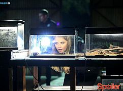 CSI: Kryminalne zagadki Las Vegas: 15x17 Under My Skin - zdjęcia promocyjne