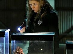 CSI: Kryminalne zagadki Las Vegas: 15x17 Under My Skin - zdjęcia promocyjne