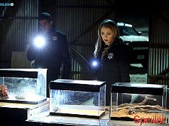 CSI: Kryminalne zagadki Las Vegas: 15x17 Under My Skin - zdjęcia promocyjne