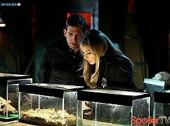 CSI: Kryminalne zagadki Las Vegas: 15x17 Under My Skin - zdjęcia promocyjne