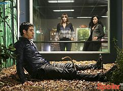 Scorpion: 1x18 Once Bitten, Twice Die - zdjęcia promocyjne