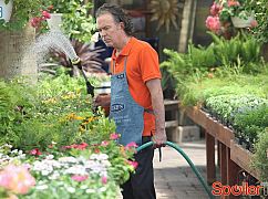 American Crime: 1x05 Episode Five - zdjęcia promocyjne