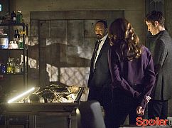 The Flash: 1x19 Who is Harrison Wells? - zdjęcia promocyjne