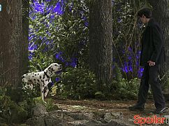 Once Upon a Time: 4x19 Sympathy for the De Vil - zdjęcia z planu